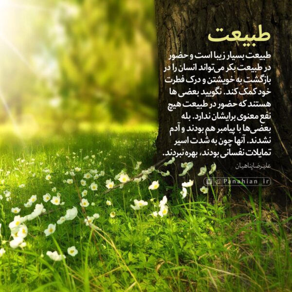 متن طبیعت + جملات زیبا در مورد طبیعت و زیبایی های آن