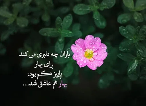 متن غمگین بهار + شعر و جملات غمگین بهاری