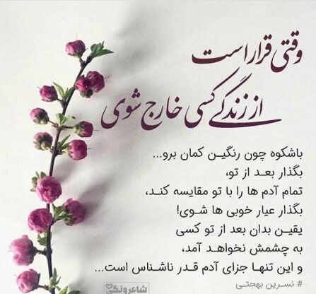 متن قشنگ و فلسفی + جملات قشنگ دلنشین، عاشقانه، در مورد زندگی و فلسفی