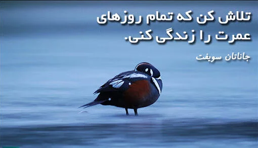 متن و جملات تلاش و کوشش + عکس نوشته و سخن بزرگان در مورد تلاش