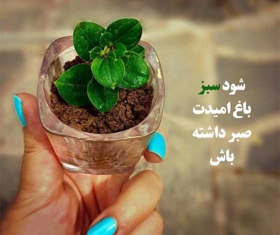 متن و شعر درباره رنگ سبز (اشعار و جملات احساسی سبز رنگ)