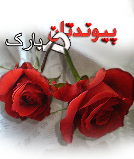 متن پیوندتان مبارک + جملات تبریک برای ارسال به تازه عروس و تازه داماد