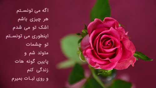متن گل رز عاشقانه + مجموعه اشعار عاشقی با موضوع گل رز سرخ