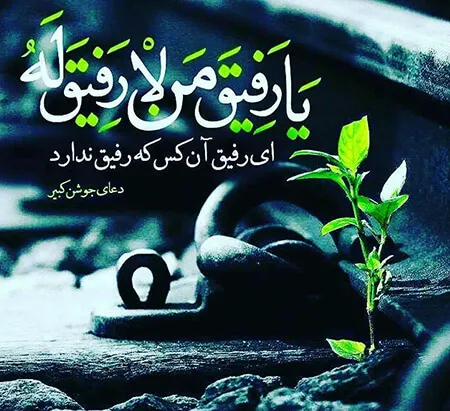 متن‌های آرامش دهنده از قرآن [ 30 جمله ناب از آیات قرآنی ]