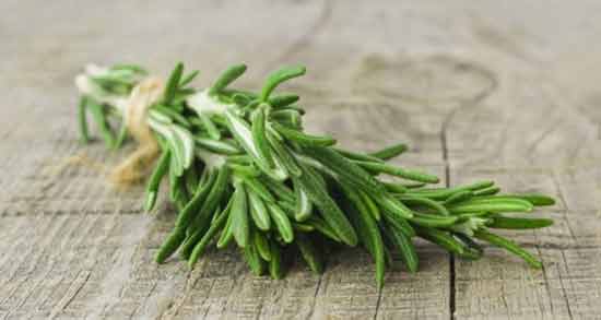 مرزه و چربی خون ؛ خاصیت خوردن مرزه برای کاهش چربی خون