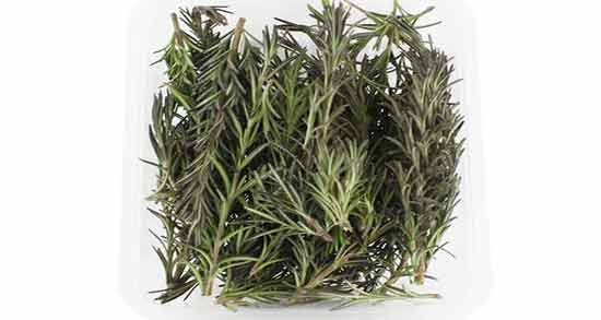 مرزه یا رزماری ؛ همه چیز درباره مرزه و رزماری