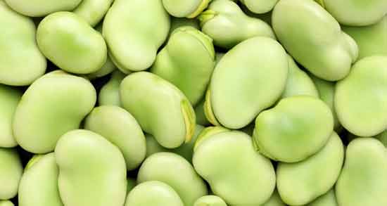 مصرف باقالی در شیردهی ؛ خواص و مضرات خوردن باقالی برای شیر مادر