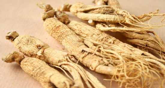 مصرف جینسینگ قبل از بارداری ؛ فواید و مضرات مصرف جینسینگ برای باردار شدن