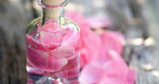 مصرف گلاب در سه ماهه اول بارداری و خواص و مضرات مصرف گلاب در بارداری مصرف گلاب در سه ماهه اول بارداری ؛ خواص و مضرات مصرف گلاب در بارداری