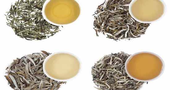 مصلح چای سفید ؛ آشنایی با خواص و مصلح چای سفید