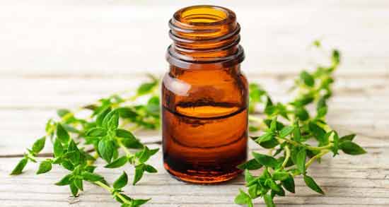 مضرات آویشن برای قلب ؛ بررسی مضرات خوردن آویشن برای بیماری قلبی
