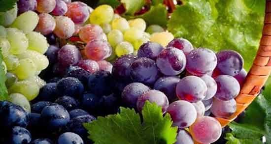 مضرات انگور برای کلیه ؛ بررسی عوارض و مضرات خوردن انگور برای کلیه