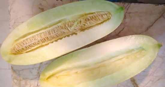 مضرات خوردن خربزه در بارداری ؛ بررسی عوارض و مضرات خوردن خربزه در بارداری