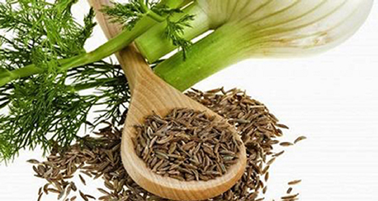 مضرات رازیانه برای رحم نی نی سایت ؛ ایا استفاده زیاد رازیانه برای رحم مضره