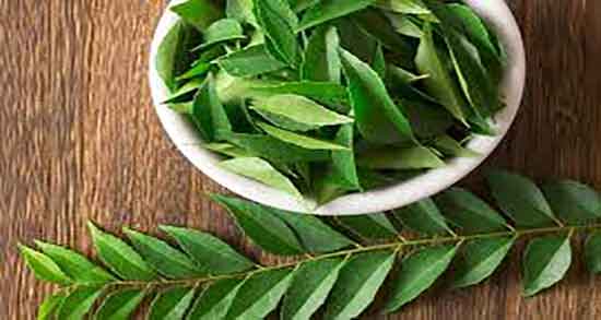موارد استفاده برگ بو در آشپزی برگ بو را در چه غذاهایی استفاده میکنند