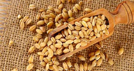 نحوه خوردن جو دوسر برای بدنسازی ؛ روش استفاده از جو دوسر برای افراد بدنساز