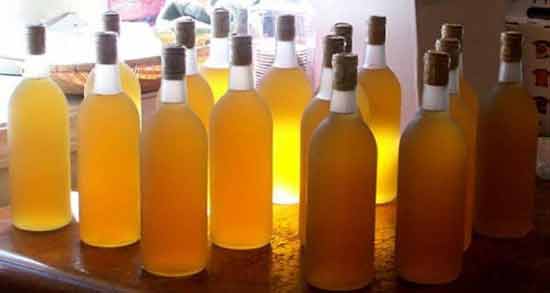 نگهداری آبغوره در بطری نوشابه ؛ خطرات نگهداری آبغوره در بطری نوشابه و ظروف پلاستیکی
