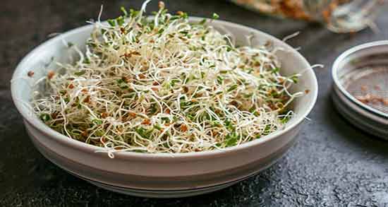 نگهداری جوانه گندم نی نی سایت ؛ روش صحیح نگهداری از جوانه گندم