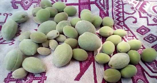 نگهداری چغاله بادام در فریزر ؛ روش صحیح نگهداری چغاله بادام در فریزر برای مدت طولانی