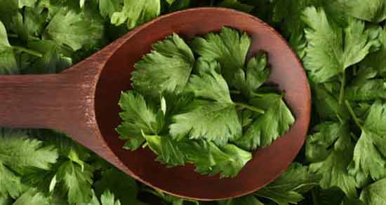 پاکسازی کبد با جعفری و لیمو و سیر ؛ تاثیر خوردن جعفری و لیمو و سیر برای پاکسازی کبد