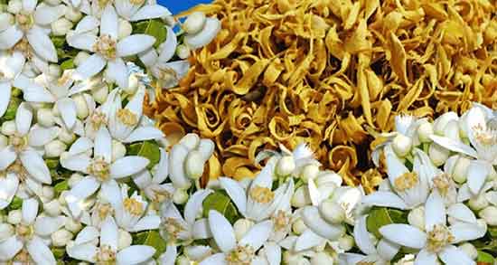 پوست نارنج برای چی خوب است ؛ تاثیر مصرف پوست نارنج برای لک پوستی