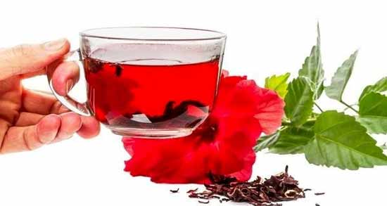 چای ترش دکتر خیراندیش ؛ آشنایی با خاصیت خوردن چای ترش از دیدگاه دکتر خیراندیش