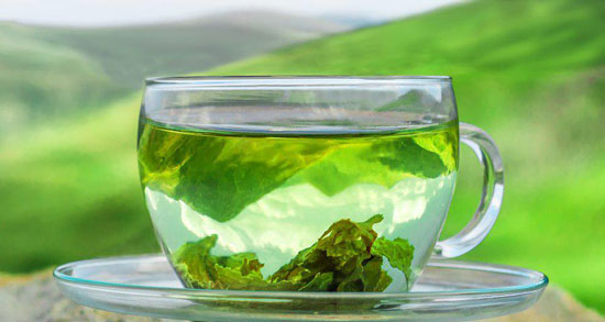 چای سبز برای چربی خون ؛ تاثیر خوردن چای سبز برای چربی خون