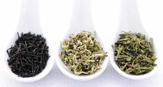 چای سبز بهتر است یا چای سفید ؛ کدام چای خاصیت بیشتری دارد