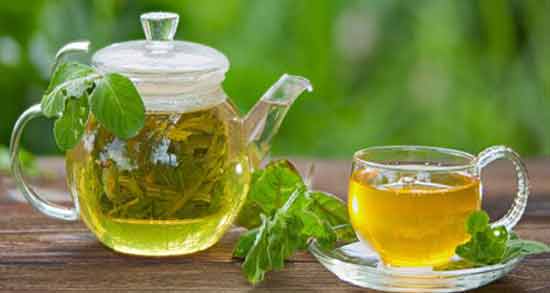 چای سبز نعناع برای لاغری و تاثیر خوردن چای سبز نعناع برای لاغر شدن