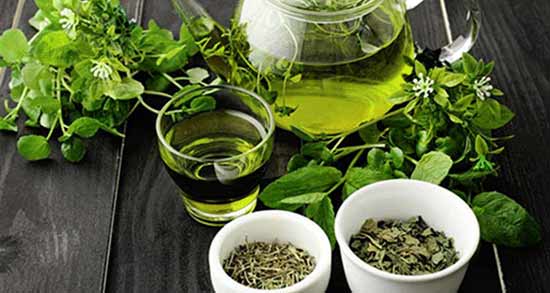 چای سبز و تخمدان پلی کیستیک نی نی سایت ؛ خاصیت خوردن چای سبز برای تخمدان پلی کیستیک
