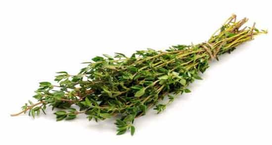 چرا آویشن برای تیروئید مضر است ؛ آشنایی با مضرات مصرف آویشن برای تیروئید