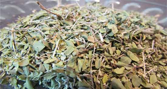 چرا آویشن برای کودکان ضرر دارد نی نی سایت ؛ بررسی مضرات آویشن برای کودکان