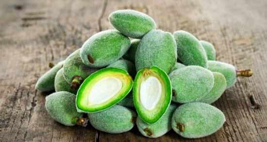 چغاله بادام چاق کننده است ؛ تاثیر خوردن چغاله بادام برای افزایش وزن