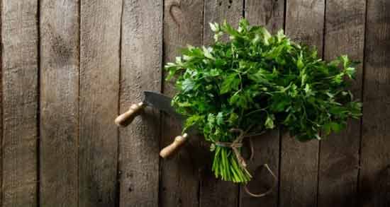 چند روز بعد از خوردن جعفری پریود میشویم ؛ خاصیت خوردن جعفری برای پریود شدن