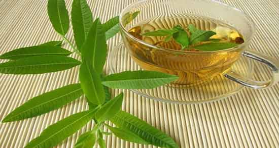 چه زمانی دمنوش به لیمو بخوریم ؛ نحوه صحیح مصرف دمنوش به لیمو