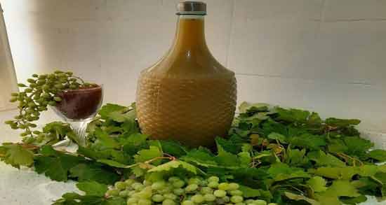 چگالی آبغوره ؛ همه چیز درباره آبغوره و چگالی آن