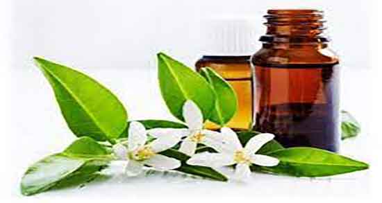 چگونه تلخی اب نارنج را بگیریم ؛ دستور گرفتن تلخی اب نارنج چگونه است