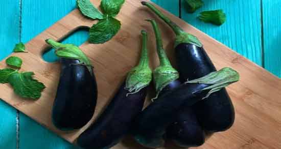 چگونه نفخ بادمجان را بگیریم ؛ روش هایی برای از بین بردن نفخ بادمجان