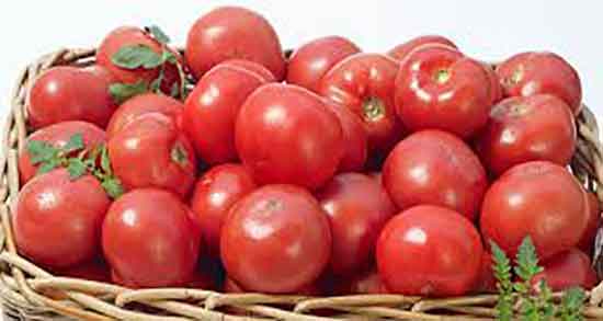 کاربرد گوجه گیلاسی استفاده از گوجه گیلاسی برای تزیین سالاد فصل