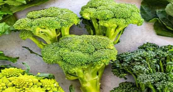 کلم بروکلی برای سهره خوبه ؛ بررسی خواص و ارزش غذایی کلم بروکلی برای تغذیه سهره