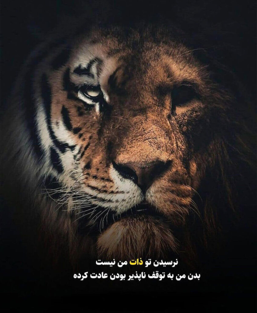 کپشن انگیزشی و شاخ ویژه زیر عکس (جملات سنگین ویژه برای اینستا و پروفایل)