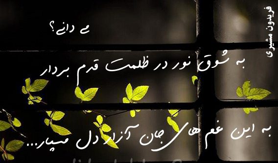کپشن نور | جملات زیبا و سنگین در مورد نور