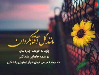 کپشن گل آفتابگردان با متن و جملات احساسی زیبای گل آفتابگردان