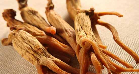 کیا با جینسینگ باردار شدن ؛ فواید مصرف جینسینگ برای باردار شدن