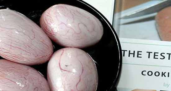 کیا با دنبلان باردار شدن نی نی سایت ؛ تاثیر خوردن دنبلان برای باردار شدن