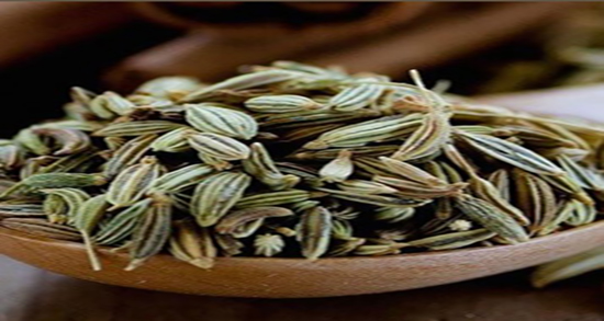 کیا با رازیانه باردار شدن نی نی سایت ؛ ایا با خوردن رازیانه رحم بارور میشود