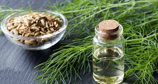 کیا با عرق رازیانه چاق شدن ؛ تاثیر خوردن عرق رازیانه برای افزایش وزن