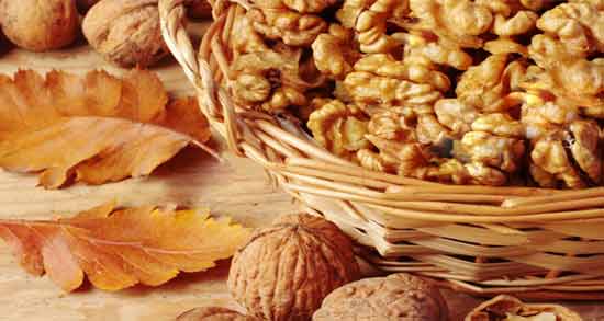 گردو از چند ماهگی به نوزاد بدهیم ؛ از چه ماهی می توان به نوزاد گردو داد