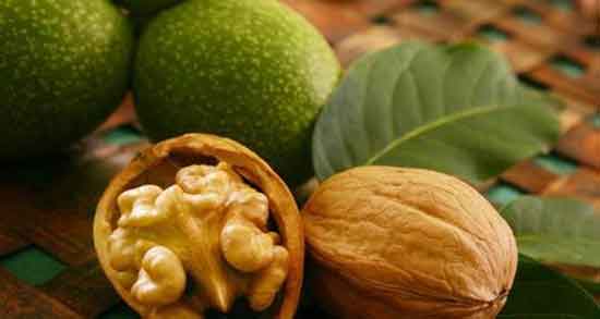 گردو برای اسهال ؛ خاصیت و عوارض استفاده از گردو برای درمان اسهال