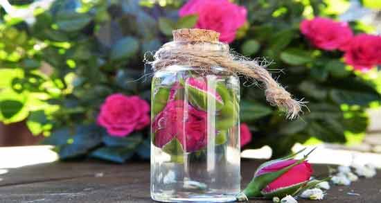 گلاب برای سرماخوردگی نی نی سایت ؛ خاصیت مصرف گلاب برای درمان سرماخوردگی